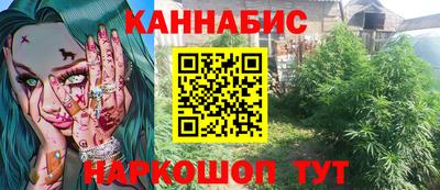 индика Бийск