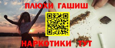 индика Бийск