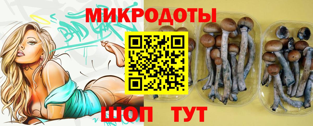 купить наркоту  Вход с VPN  Кирово-Чепецк  Галлюциногенные грибы Magic Shrooms 